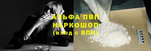 скорость Каменка
