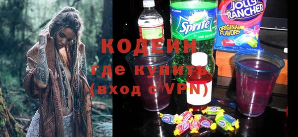 скорость Каменка