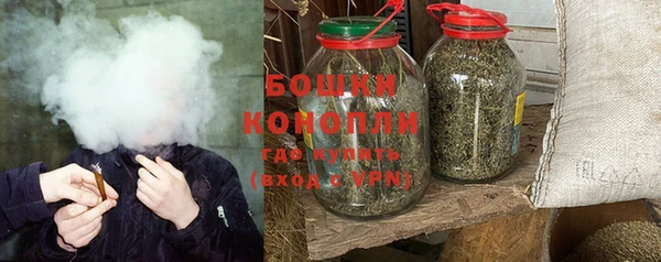 скорость Каменка