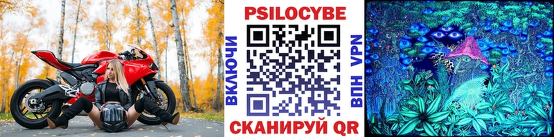 Купить где  Аргун  Псилоцибиновые грибы Psilocybine cubensis 