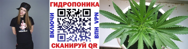 Купить закладки  Аргун  Каннабис MAZAR 